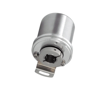 �����ͱ�����