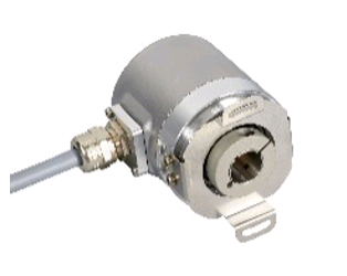 �����ͱ�����