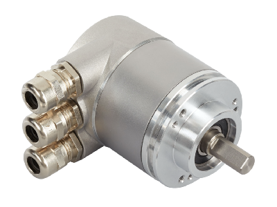 �����ͱ�����