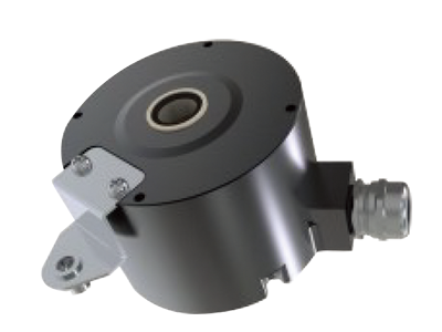 �����ͱ�����