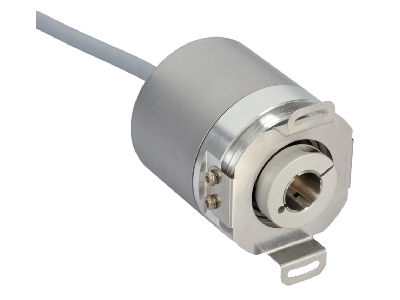 �����ͱ�����