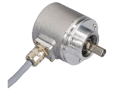 �����ͱ�����